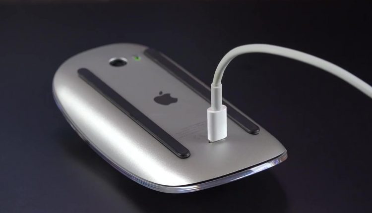 Magic Mouse 2-3